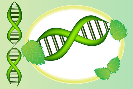 DNA cell with green leafs icon vector design templateのイラスト素材