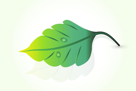Leaf health nature vector image designのイラスト素材