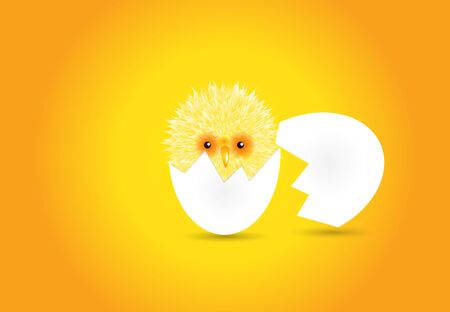 Evolution born chick vector illustrationのイラスト素材