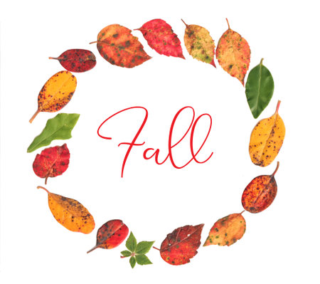 Fall - autumn leaves in a circle making a colorful wreath floral with real leaves and fall text lettering word for a new project season  with vivid colors of leavesの写真素材