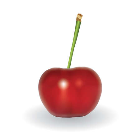 red cherry on the white backgroundのイラスト素材