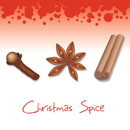 christmas spice - clove, star anise and cinnamonのイラスト素材