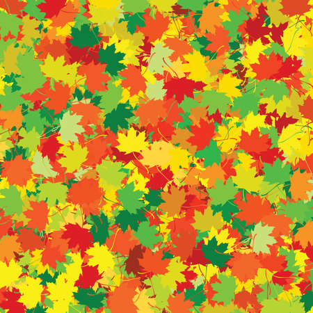 colorful leaves - yellow, orange, green, brown, redのイラスト素材