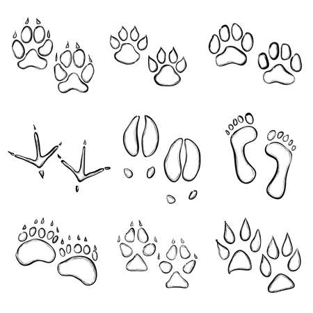 collection of animal paw printsのイラスト素材