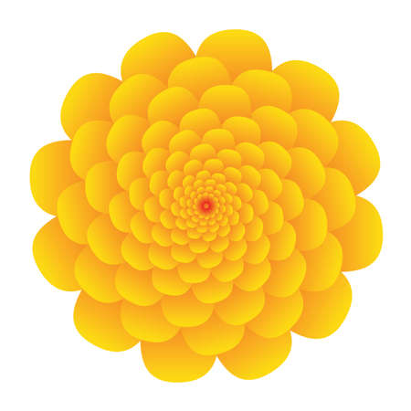 big yellow flower, white backgroundのイラスト素材