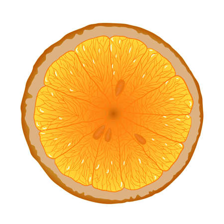 slice of orange, white backgroundのイラスト素材