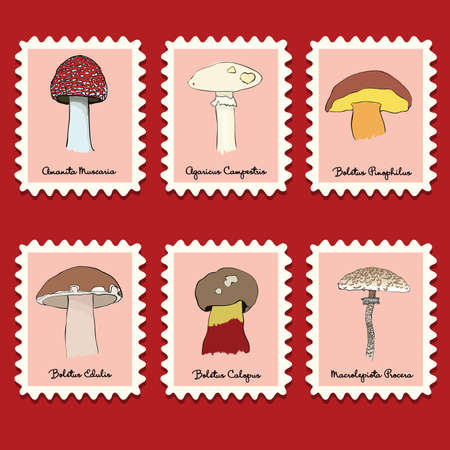 stamps collection - mushrooms setのイラスト素材