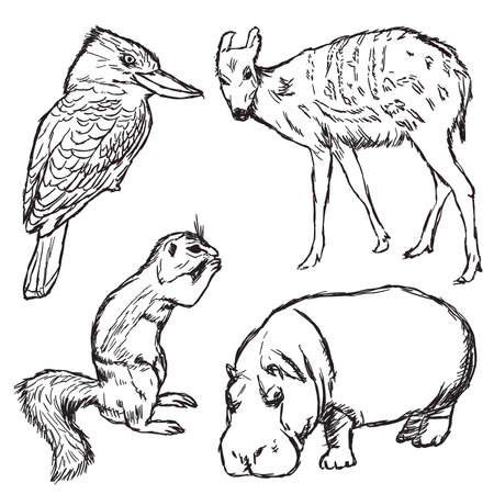 animals in zoo - part oneのイラスト素材