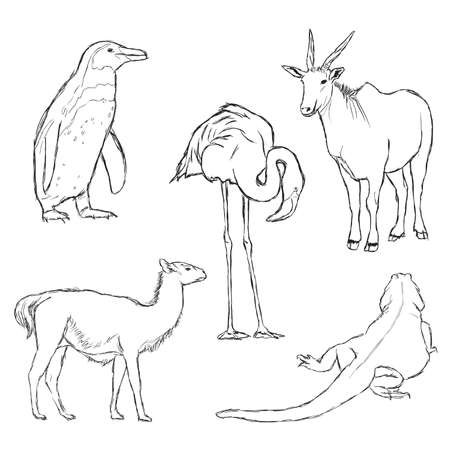 animals in zoo - part twoのイラスト素材