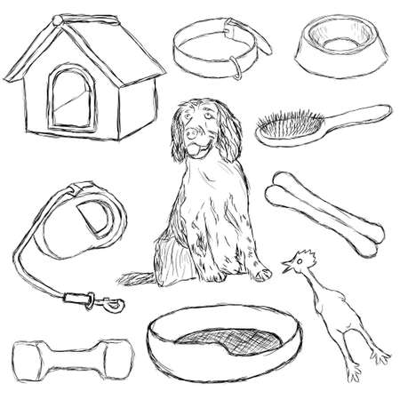 collection of dog suppliesのイラスト素材