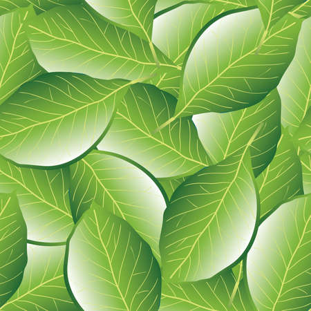 leaf seamless patternのイラスト素材