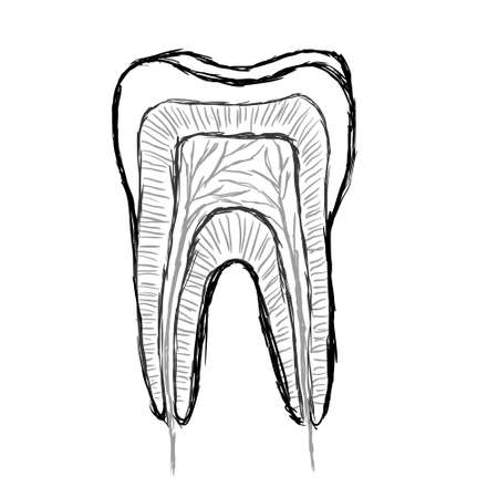 doodle toothのイラスト素材