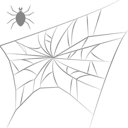 spider webのイラスト素材