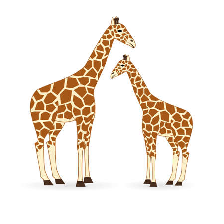 giraffeのイラスト素材