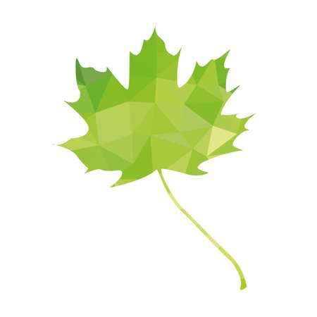 maple leaf iconのイラスト素材