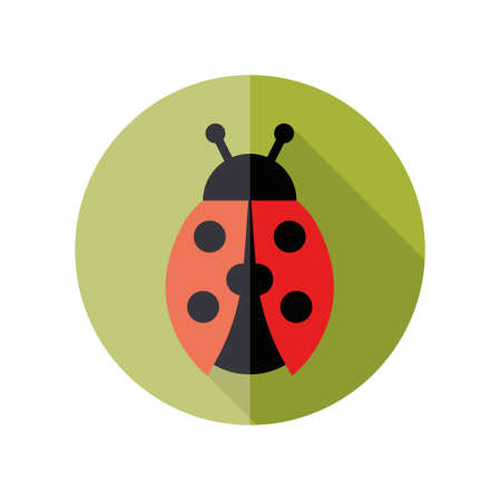 ladybird flat iconのイラスト素材
