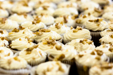 cupcakes with creme and walnutsの写真素材
