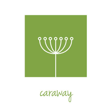 caraway icon on green squareのイラスト素材