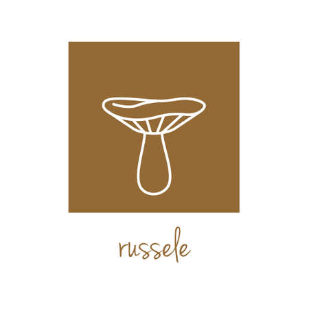 russele icon on brown squareのイラスト素材