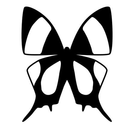 black and white vector butterflyのイラスト素材