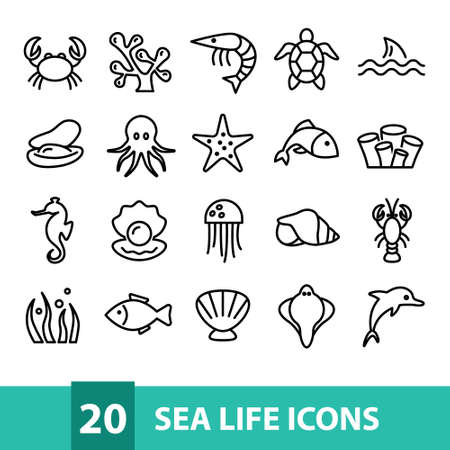 sea life vector icons collectionのイラスト素材