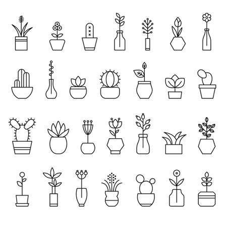 collection of home flowersのイラスト素材