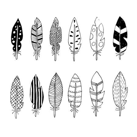 vector feathers with abstract drawingsのイラスト素材