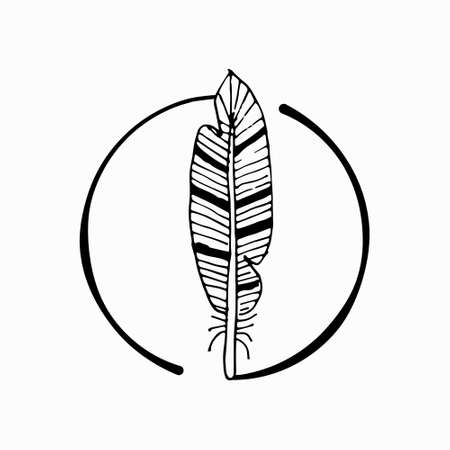 vector feather with abstract drawingのイラスト素材