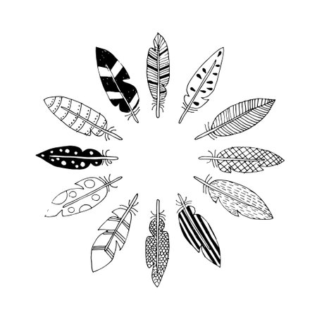 vector drawing feathers in circleのイラスト素材