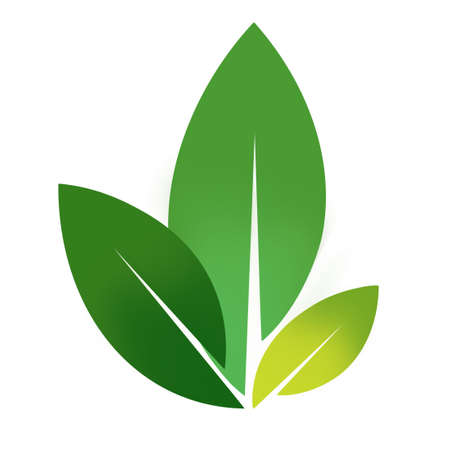 green leaves logo for vegansの写真素材