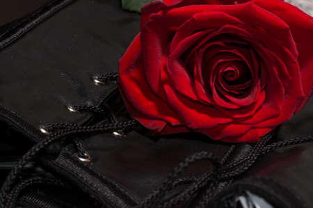 Composition of erotic black corset and roseの写真素材