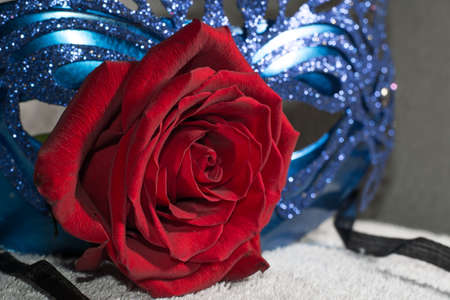 Blue carnaval mask with red roseの写真素材