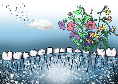 Dental bridge over the river with flowers and birds. Vector illustration.の写真素材