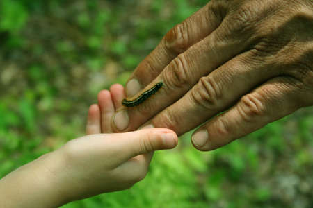 Father and Daughter hands with caterpillar.の写真素材