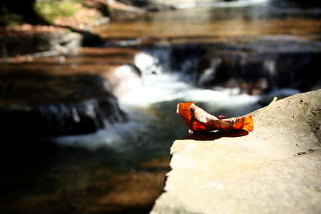 One fallen leaf on edge of waterfall.の写真素材