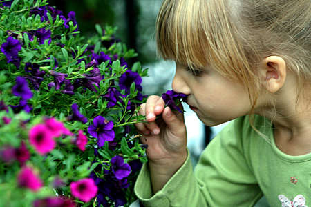 Little girl smelling flowersの写真素材