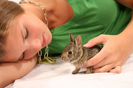 Teenage girl and wild  bunny.の写真素材