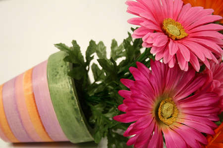 Floral abstract isolated on whiteの写真素材