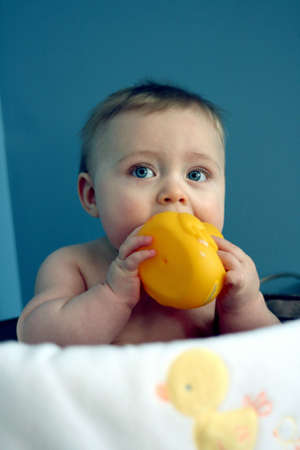 Baby boy in washtub with rubber duckyの写真素材