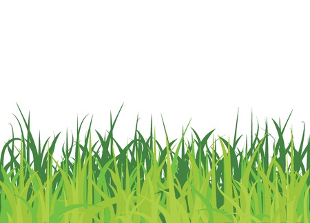 grass background for background, nature, and othersのイラスト素材