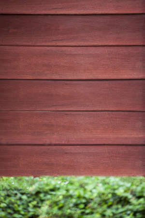 Wood fence with green grassの写真素材