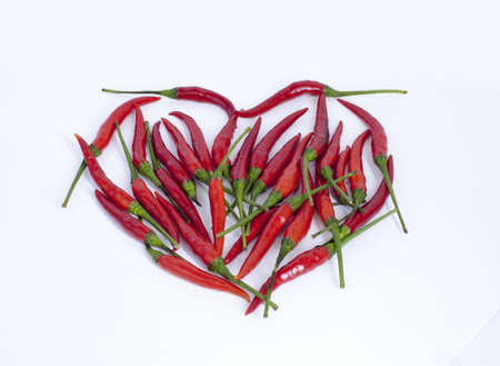 Chili redの写真素材