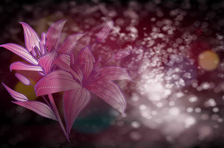  Shiny flower backgroundの写真素材