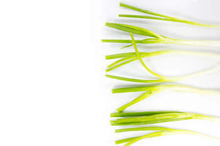 Cebollitas green pearl sclallions onions の写真素材