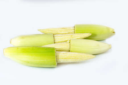baby corn isolated on white backgroundの写真素材