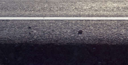 Beautiful road gray backgroundの写真素材