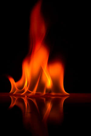 Fire flames on a  backgroundの写真素材