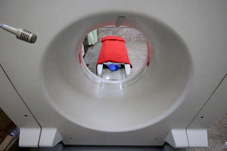 A computer monitoring a scan of human body