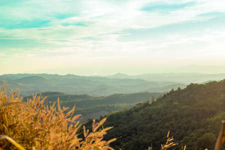 Nature LandScape Beautiful Thailandの写真素材