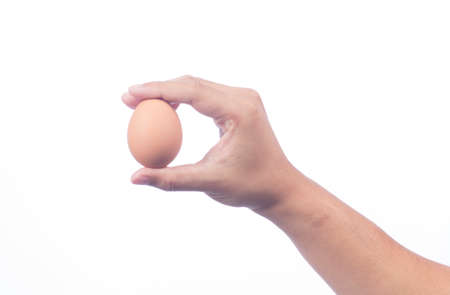 Chicken brown eggs